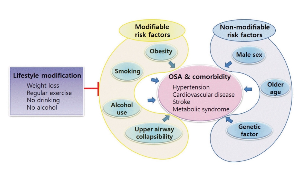 Lifestyle and Environmental Factors