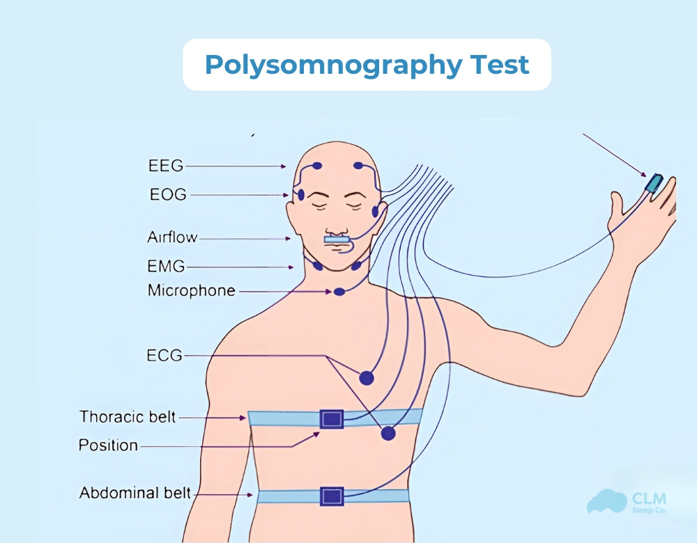 Polysomnography test for excessive daytime sleepiness