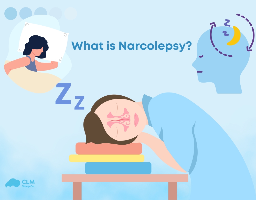 What does narcolepsy meaning​?