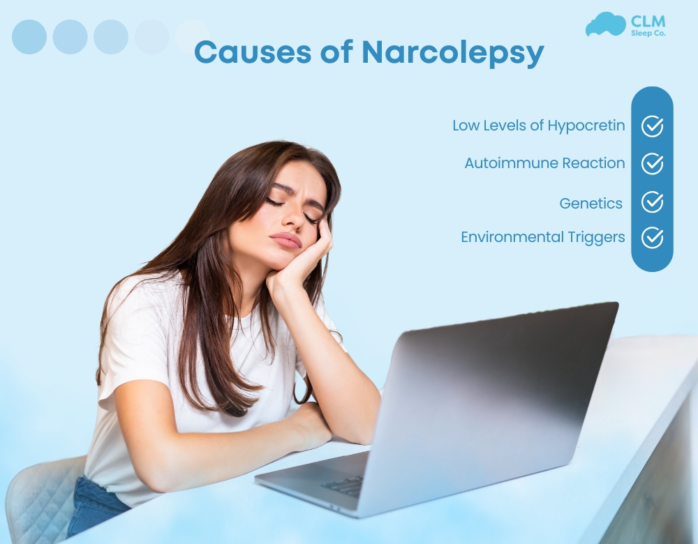 The exact cause of narcolepsy remains unknown