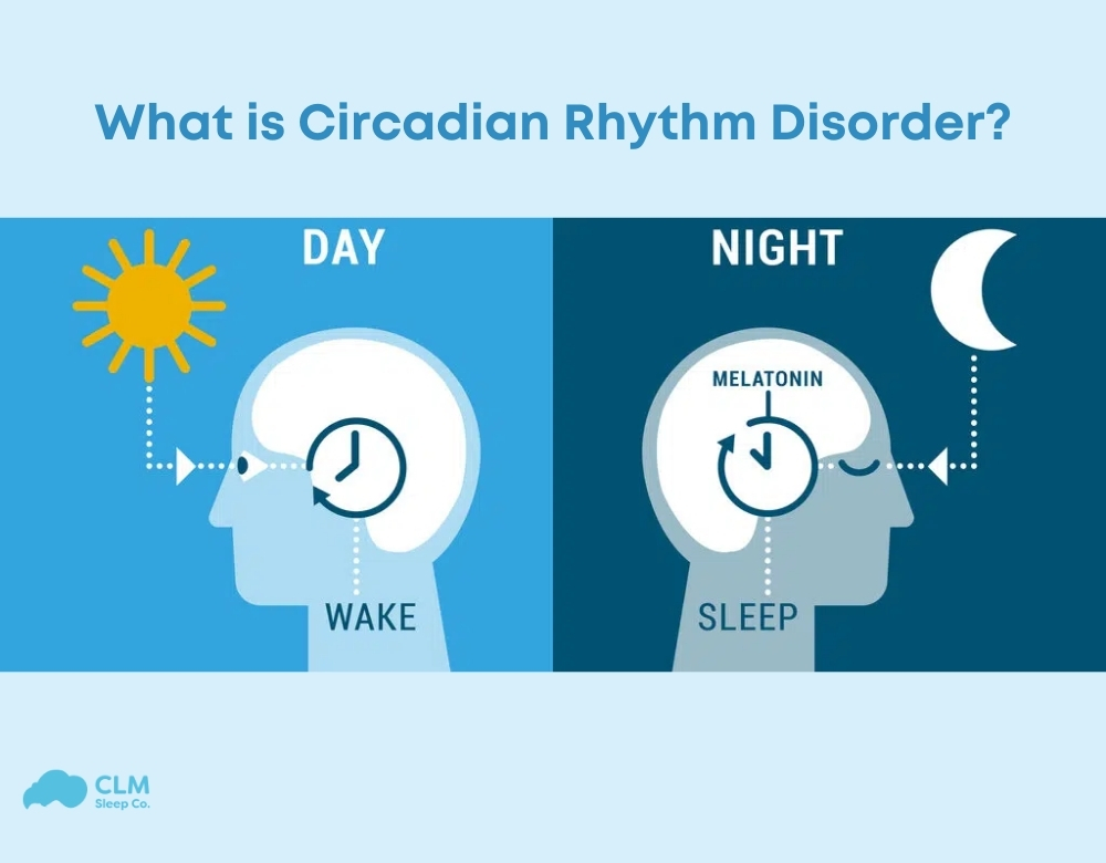 Regulate sleep-wake cycles