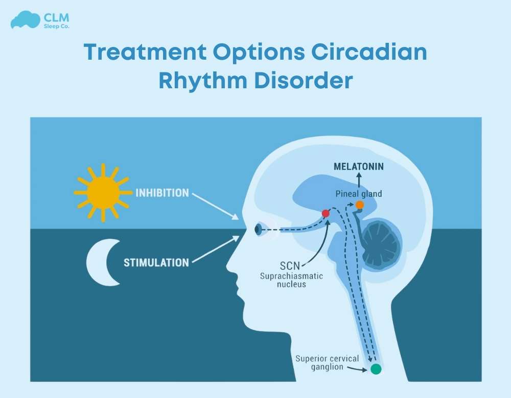 Treatment of of Circadian Rhythm Disorder