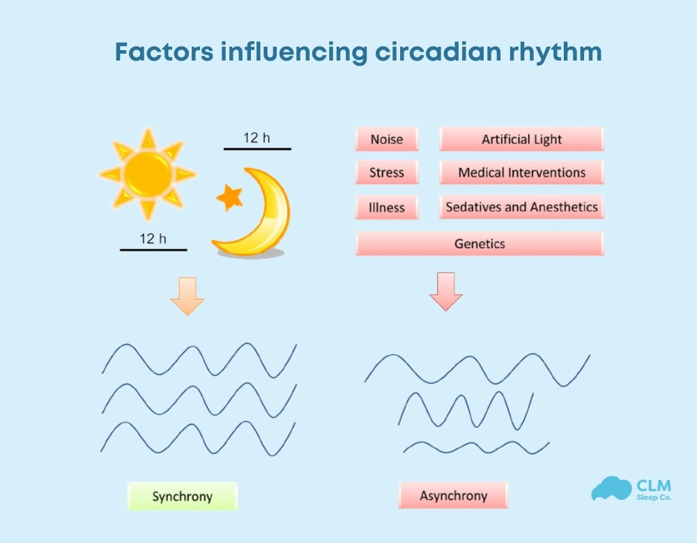 Several factors can affect the circadian rhythm