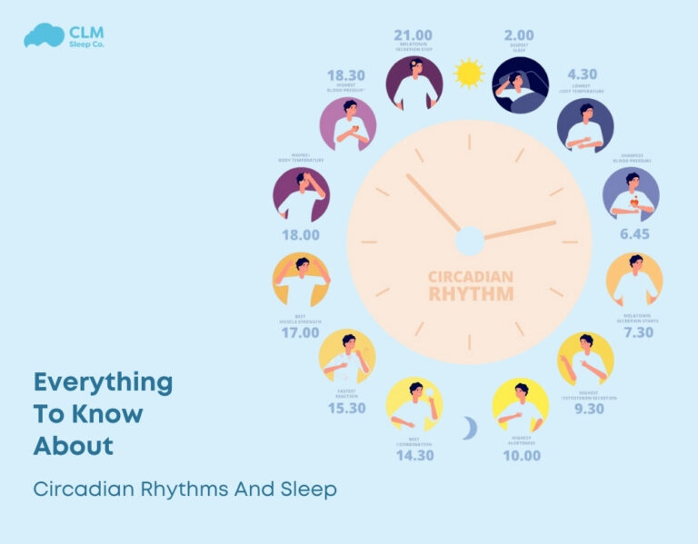 Everything To Know About Circadian Rhythms And Sleep