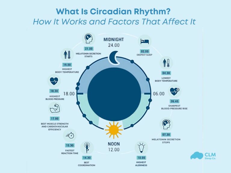 What Is Circadian Rhythm?